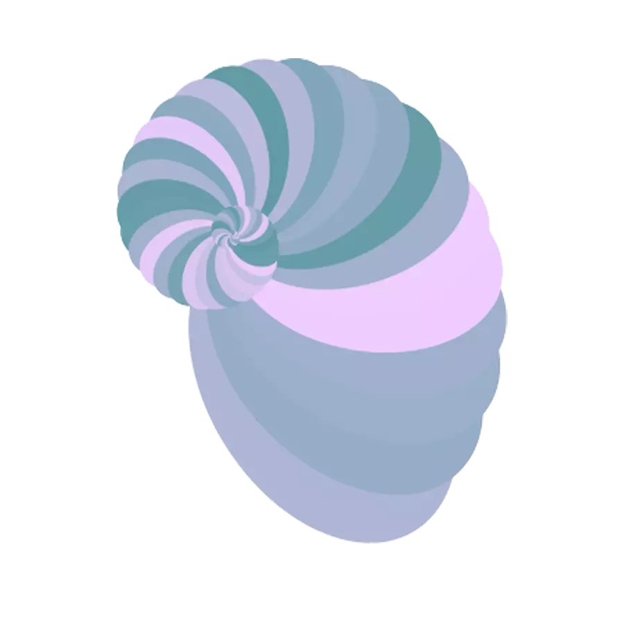 shell