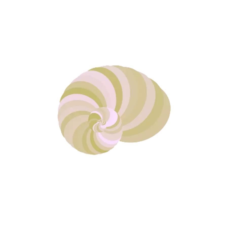 shell