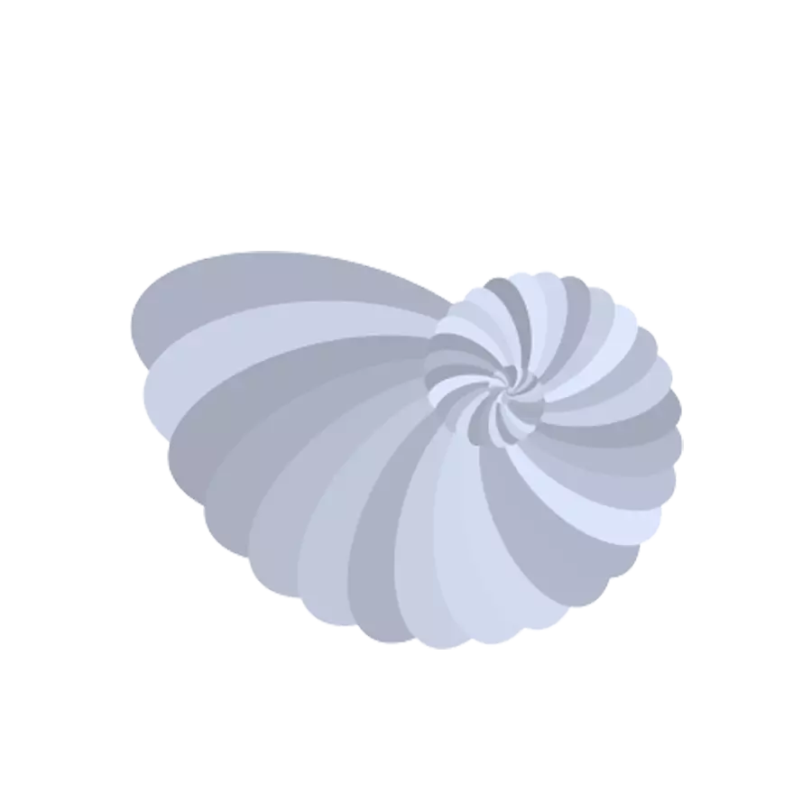 shell