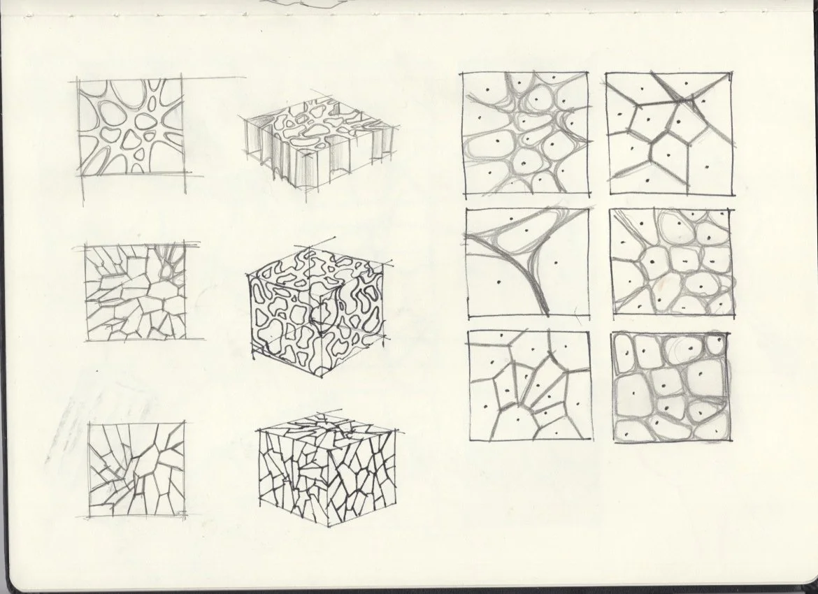 generative_morphology/sketch3